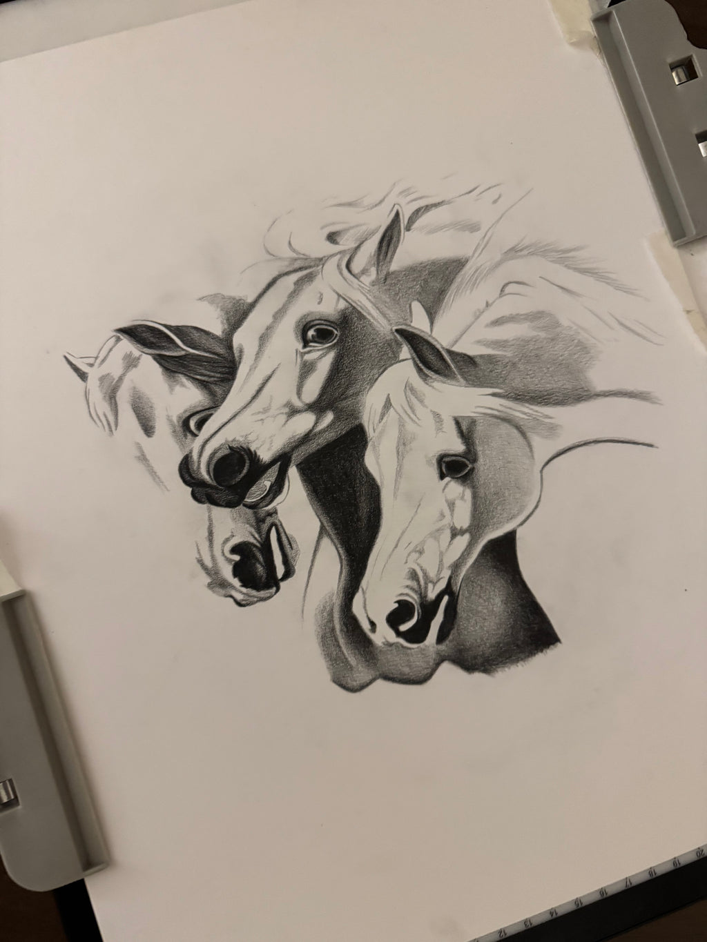 Horses | First Edition Fine Art Print